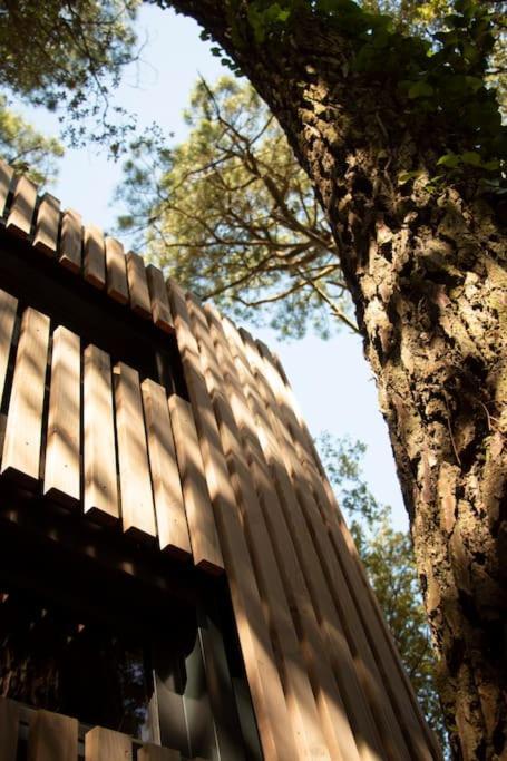 Vaimiti, Cabane Cosy Sous Les Pins Saint-Brevin-les-Pins 외부 사진