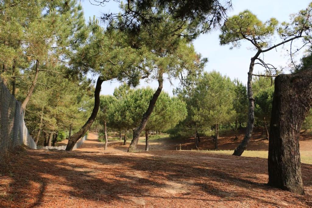 Vaimiti, Cabane Cosy Sous Les Pins Saint-Brevin-les-Pins 외부 사진